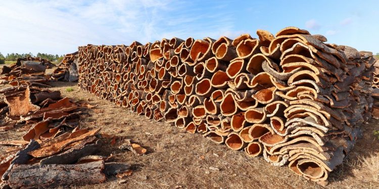Ambiente: lepidotteri defogliatori della sughera, campagna 2026 in corso su 30 mila ettari