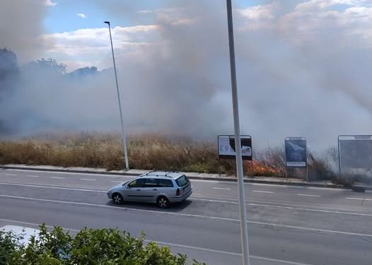 Paura a Quartu, fiamme vicino a Molentargius