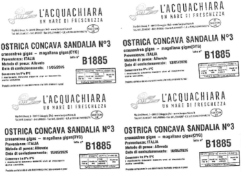Presenza di norovirus: richiamate ostriche concave della Sardegna