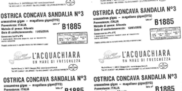 Presenza di norovirus: richiamate ostriche concave della Sardegna