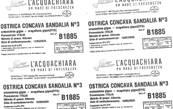 Presenza di norovirus: richiamate ostriche concave della Sardegna