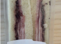 Listeria in un ingrediente, richiamati tramezzini vicentini