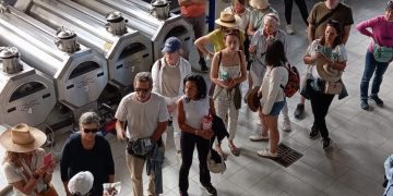 “Forbes” consacra l’olieificio Pelau in Ogliastra: Giulia Mura si racconta nella prestigiosa rivista