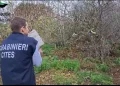 Maxi blitz antibracconaggio in mezza Sardegna, 15 denunciati