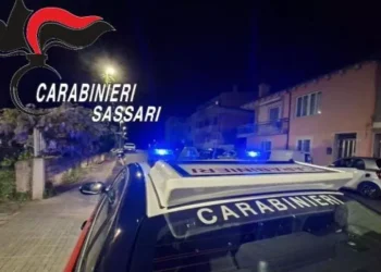 Maxi piantagione di marijuana a Luras, carabinieri arrestano quattro persone