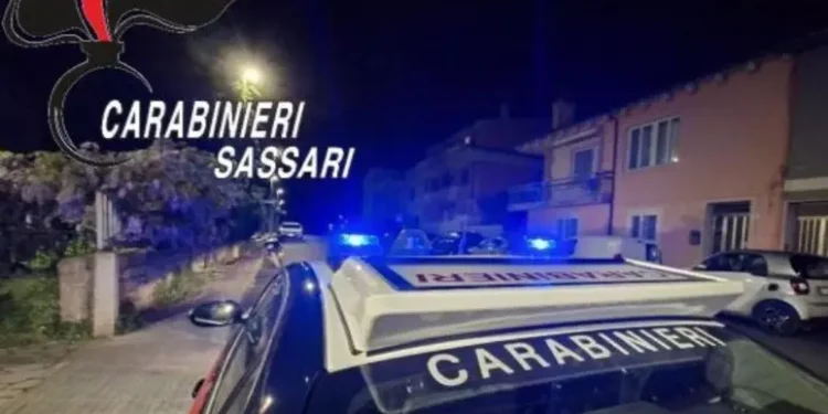 Maxi piantagione di marijuana a Luras, carabinieri arrestano quattro persone