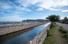 Quasi tremila aziende biologiche nell’Isola, +5% crescita di superficie