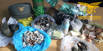 Il Corpo forestale promuove una giornata di educazione ambientale a is Arenas