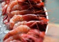 Limiti alla pesca del gambero rosso, protesta del Consorzio di Golfo Aranci