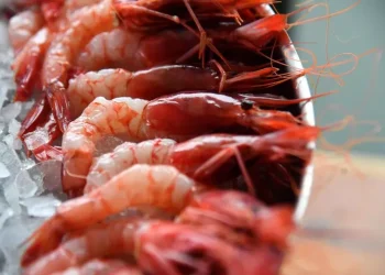 Limiti alla pesca del gambero rosso, protesta del Consorzio di Golfo Aranci