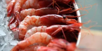 Limiti alla pesca del gambero rosso, protesta del Consorzio di Golfo Aranci
