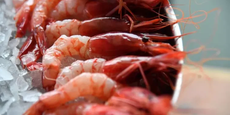 Limiti alla pesca del gambero rosso, protesta del Consorzio di Golfo Aranci