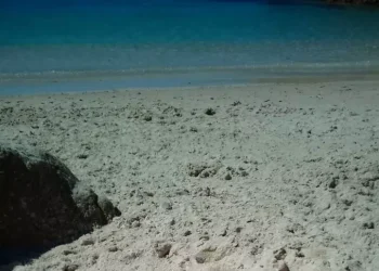 Falò su una spiaggia protetta a Caprera, il Parco avvia le verifiche