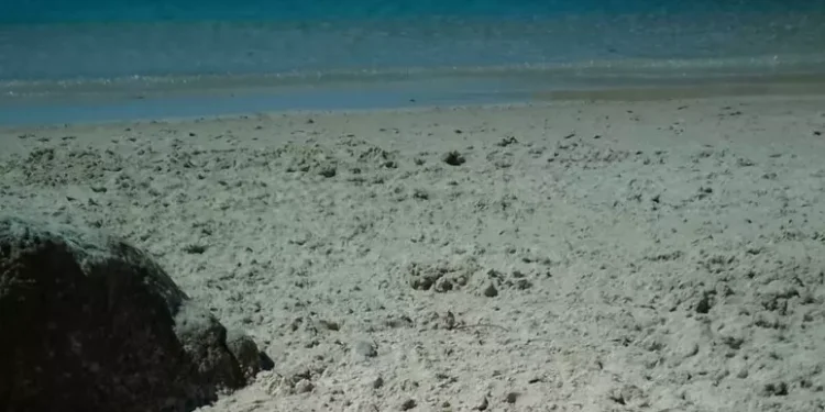 Falò su una spiaggia protetta a Caprera, il Parco avvia le verifiche
