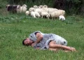 Corpi ricoperti di pelli ovine per denunciare l”Epidemia de su profittu’