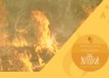 Rischio incendi, allerta di codice giallo per la giornata di lunedì 1° giugno