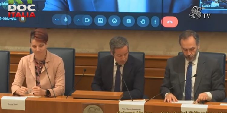 Censura Occidentale contro Russia Today, al Senato gridano all’allarme
