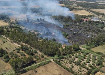 Vasto incendio a San Gavino Monreale, in azione l’elicottero della Forestale