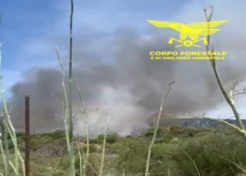 Fiamme a Narcao, il vento e il caldo alimentano il vasto incendio
