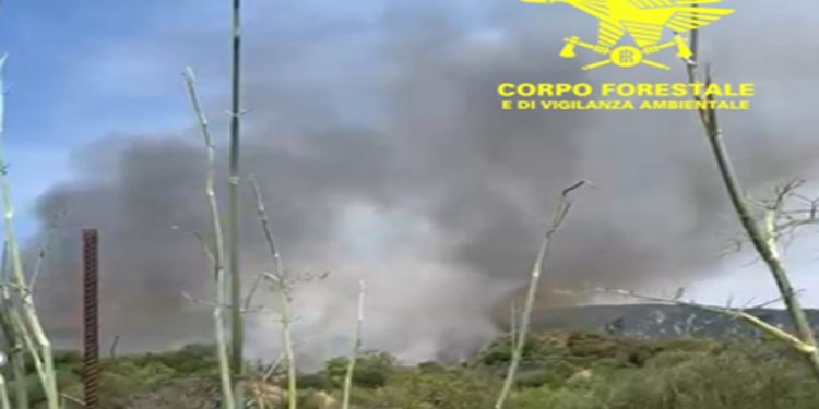 Fiamme a Narcao, il vento e il caldo alimentano il vasto incendio