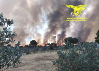 Fiamme a Narcao, il vento e il caldo alimentano il vasto incendio