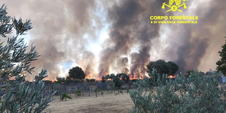 Fiamme a Narcao, il vento e il caldo alimentano il vasto incendio