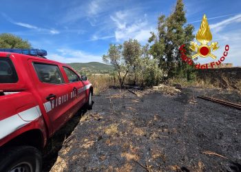 Vento e caldo, fiamme nel Sassarese: intervento dei Vigili del Fuoco