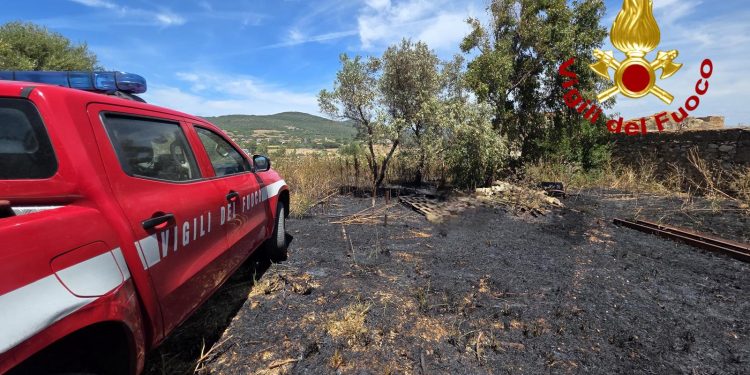 Vento e caldo, fiamme nel Sassarese: intervento dei Vigili del Fuoco