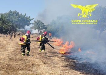 Fiamme a Nuraminis, in azione l’elicottero della Forestale