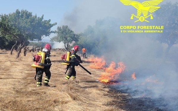 Fiamme a Nuraminis, in azione l’elicottero della Forestale