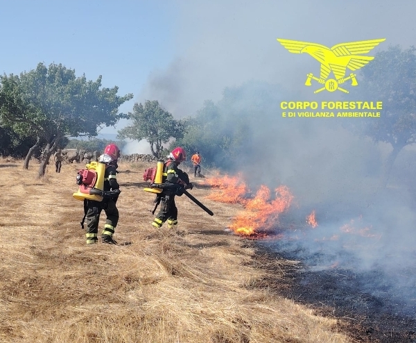 Fiamme a Nuraminis, in azione l’elicottero della Forestale