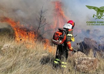 Fiamme a Villacidro, intervento dell’elicottero del Corpo Forestale