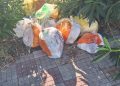 Discarica abusiva a Capoterra, cumuli di rifiuti abbandonati da giorni