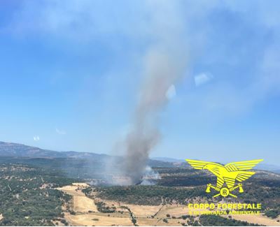 Vasto incendio a Thiesi, operativi due elicotteri della Forestale
