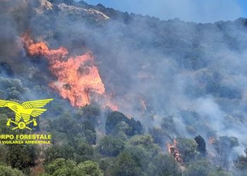 Inferno di fuoco in Sardegna: fiamme a Teulada, Nuraminis e Ghilarza