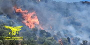 Inferno di fuoco in Sardegna: fiamme a Teulada, Nuraminis e Ghilarza