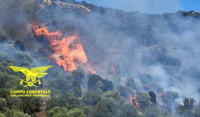 Inferno di fuoco in Sardegna: fiamme a Teulada, Nuraminis e Ghilarza