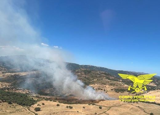 Incendi in Sardegna: il Corpo Forestale interviene a Pattada e San Sperate