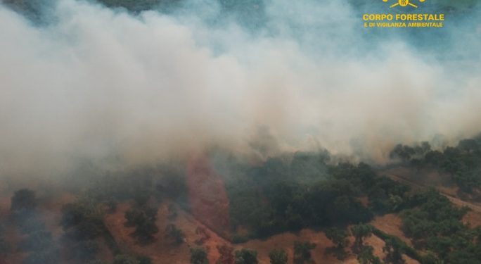 Vasto incendio nell’Oristanese, presente l’elicottero antincendio
