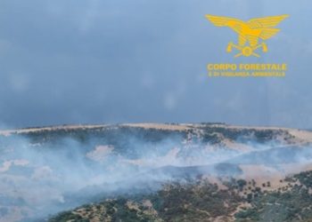 Fiamme a Nurri e Bolotana, in azione i mezzi aerei del Corpo Forestale