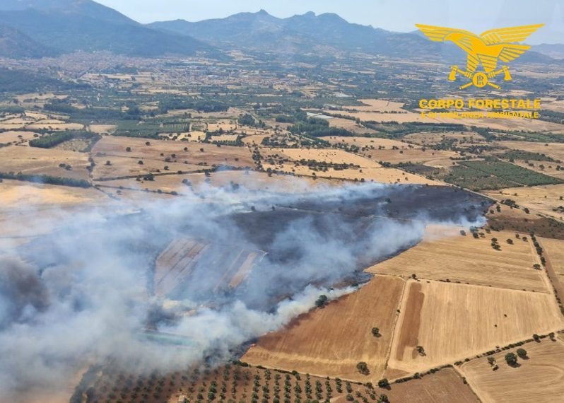 Fiamme a Calangianus e Gonnosfanadiga: in azione gli elicotteri del Corpo Forestale