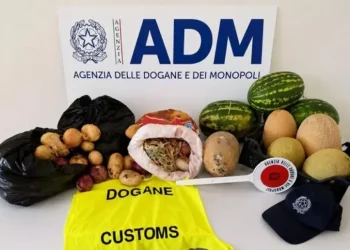 Sequestrati oltre 60 chili di prodotti vegetali