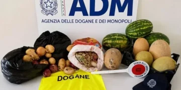 Sequestrati oltre 60 chili di prodotti vegetali