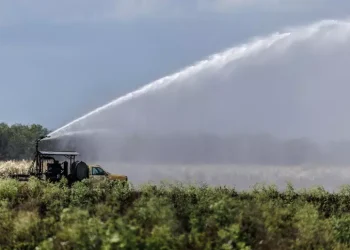 Nel 2025 record storico di erogazioni in agricoltura per 10 miliardi