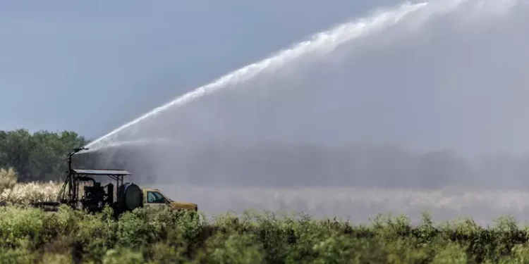 Nel 2025 record storico di erogazioni in agricoltura per 10 miliardi