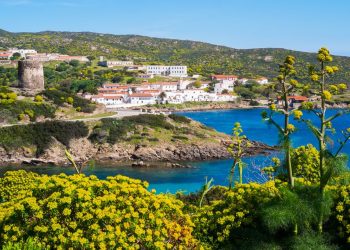 Ambiente: Asinara, la Giunta approva aggiornamento Piano del Parco Nazionale