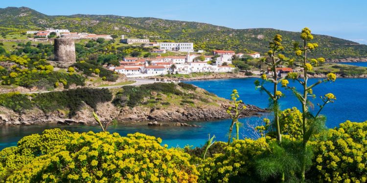 Ambiente: Asinara, la Giunta approva aggiornamento Piano del Parco Nazionale