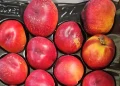 Spesa d’estate tra pesche, ciliegie e pomodori, trionfa il tonno rosso italiano
