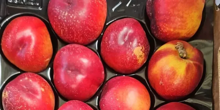 Spesa d’estate tra pesche, ciliegie e pomodori, trionfa il tonno rosso italiano