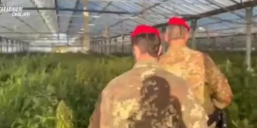 Scoperta maxi piantagione di cannabis nel Cagliaritano, 60enne in manette